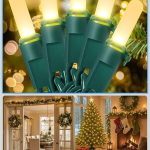 Holiday String Lights with Green Wire